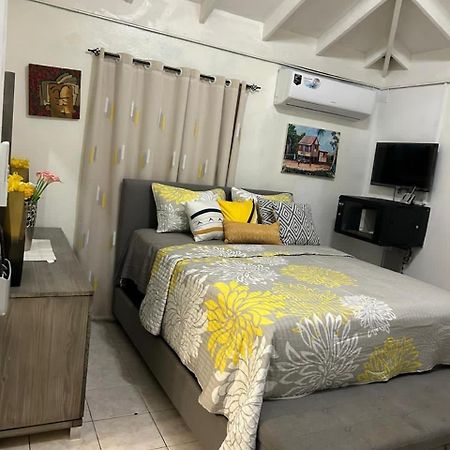 Beautiful Vacation Home Ocho Rios Buitenkant foto